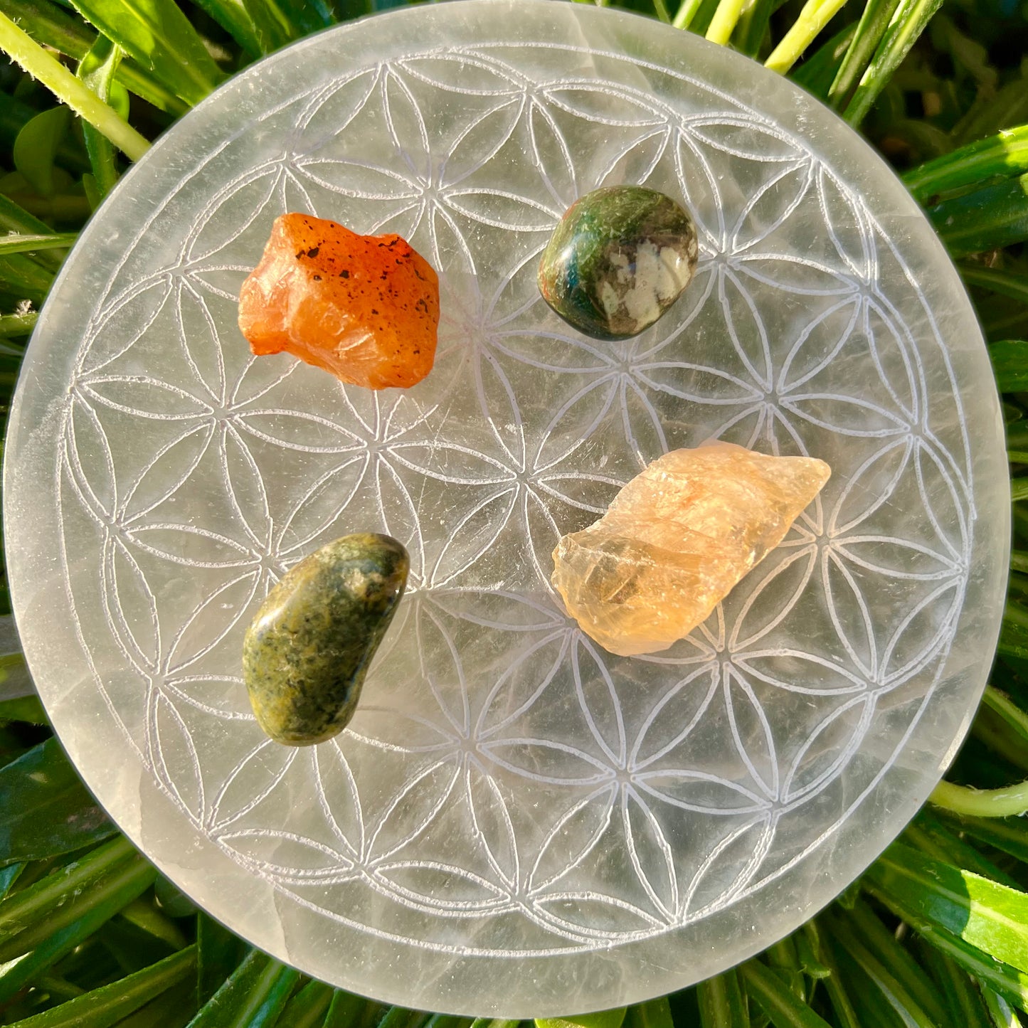 Wealth & Abundance Kit