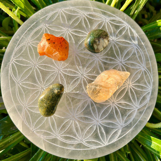 Wealth & Abundance Kit