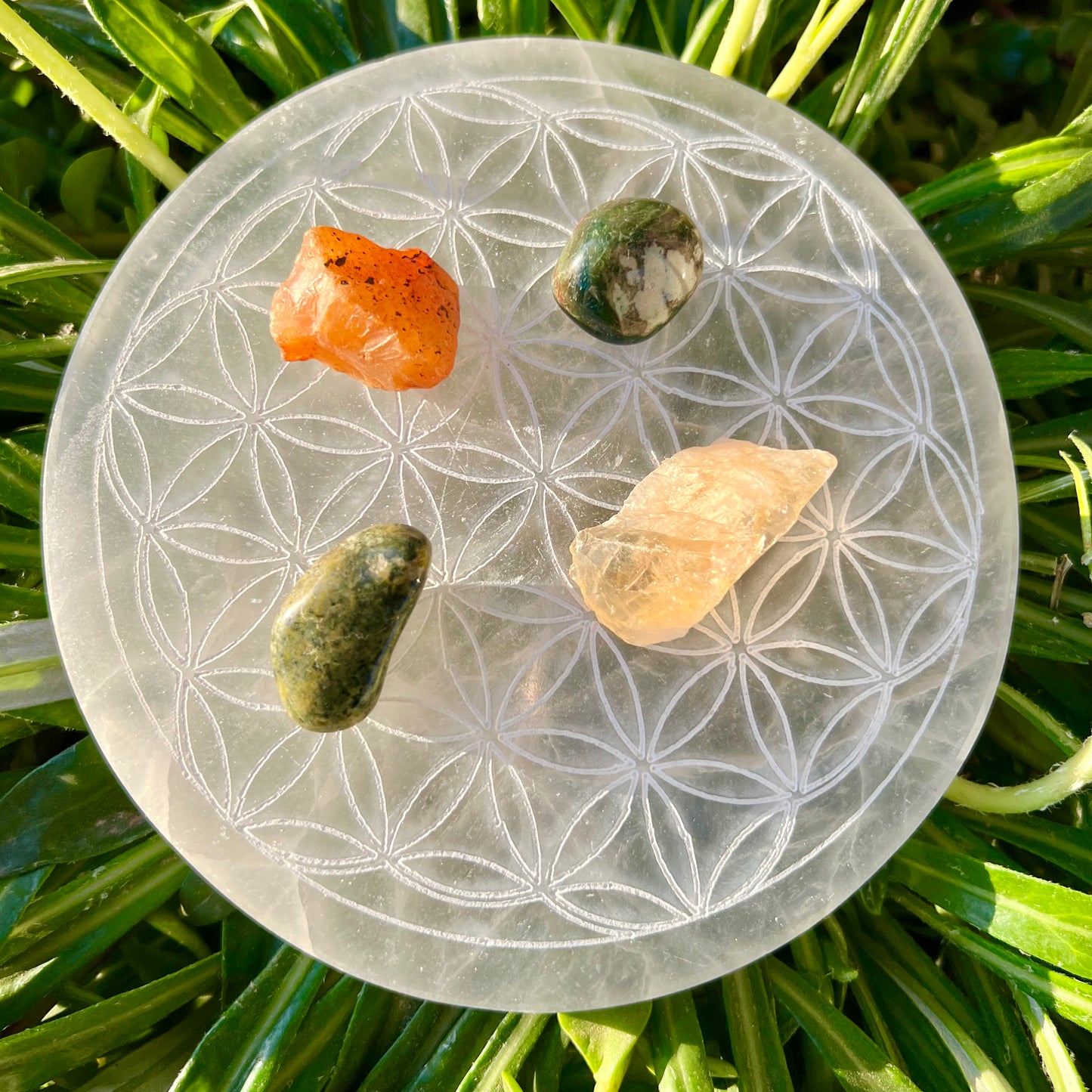 Wealth & Abundance Kit