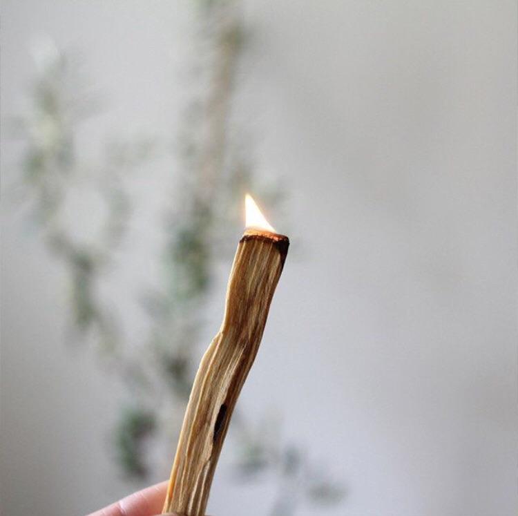 PALO SANTO STICKS