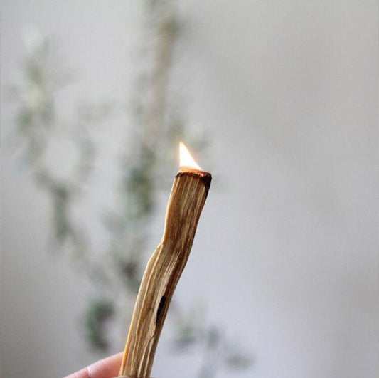 PALO SANTO STICKS